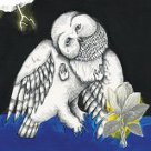 Songs: Ohia - Magnolia Electric Co.